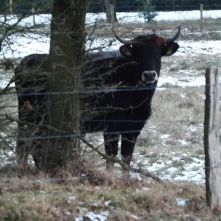 Dom wakacyjny Vosseven 78 Melde *